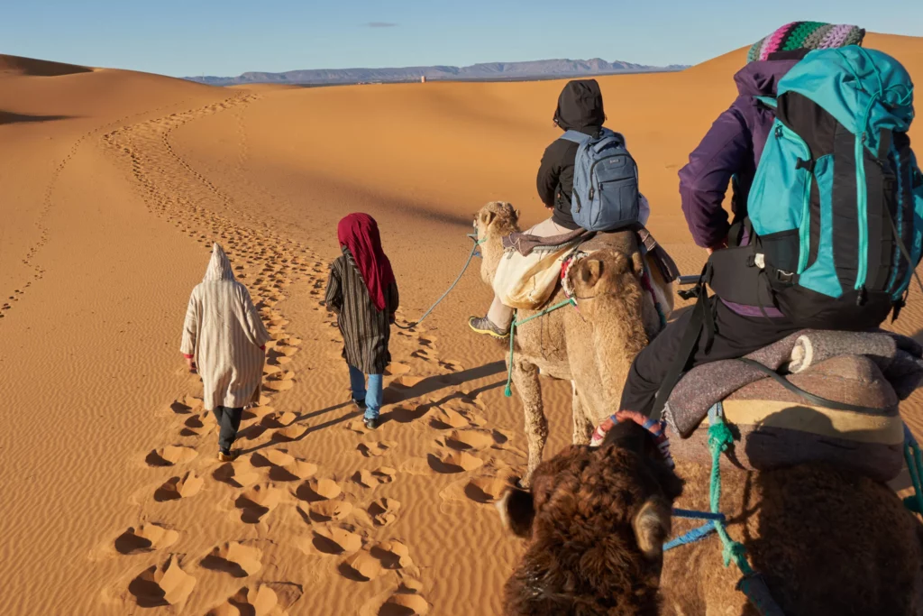 Caravane de dromadaires dans le Sahara tunisien, excursion privée dans le grand sud