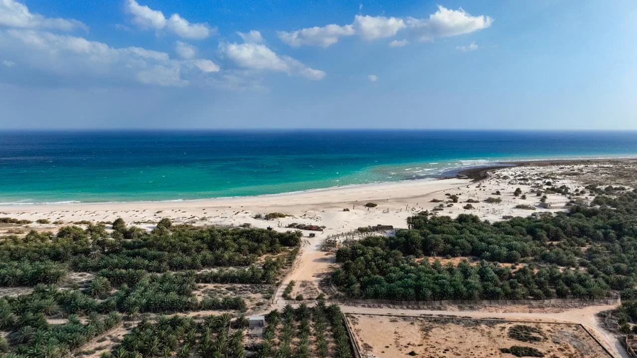 Où loger à Djerba : les meilleurs quartiers pour 2026